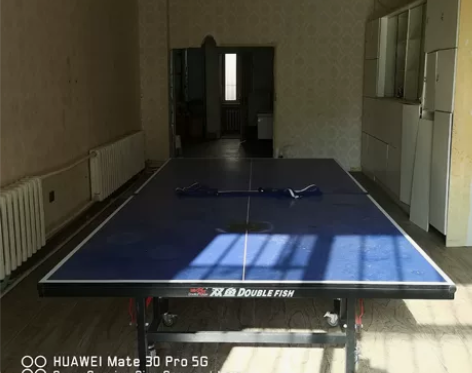 双鱼牌乒乓球桌，原价2000，现价500，...