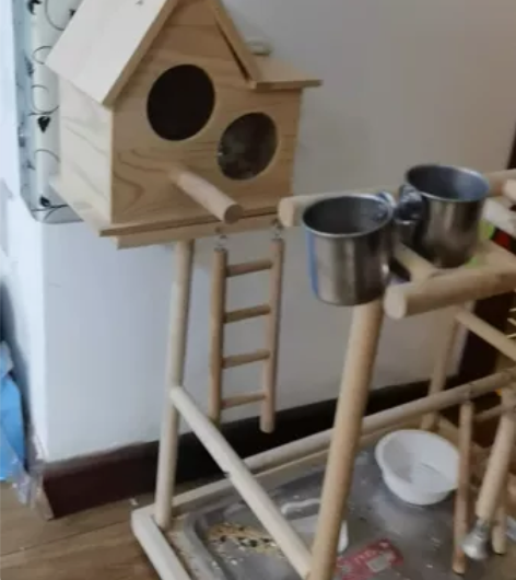 鹦鹉互动游乐场 虎皮玄凤鹦鹉鸟玩具 益智秋...