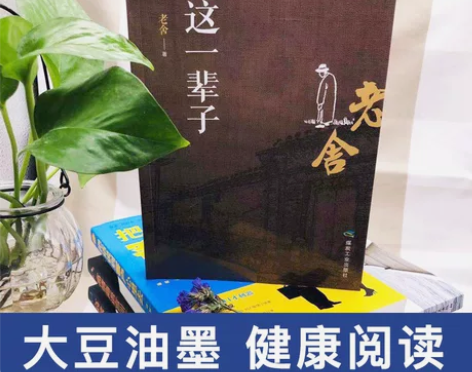 正版速发 老舍 我这一辈子老舍中短篇小说选...