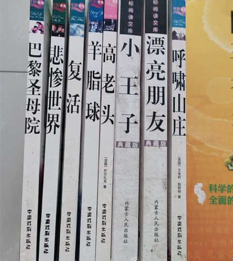 新课标阅读文物，世界名著精简版（巴黎圣母院...