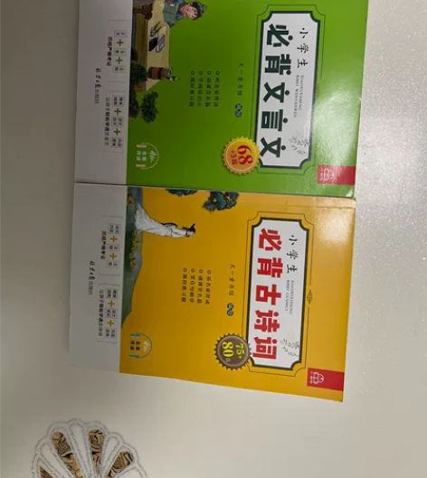 小学生必背古诗词，文言文，注音版，99新，...
