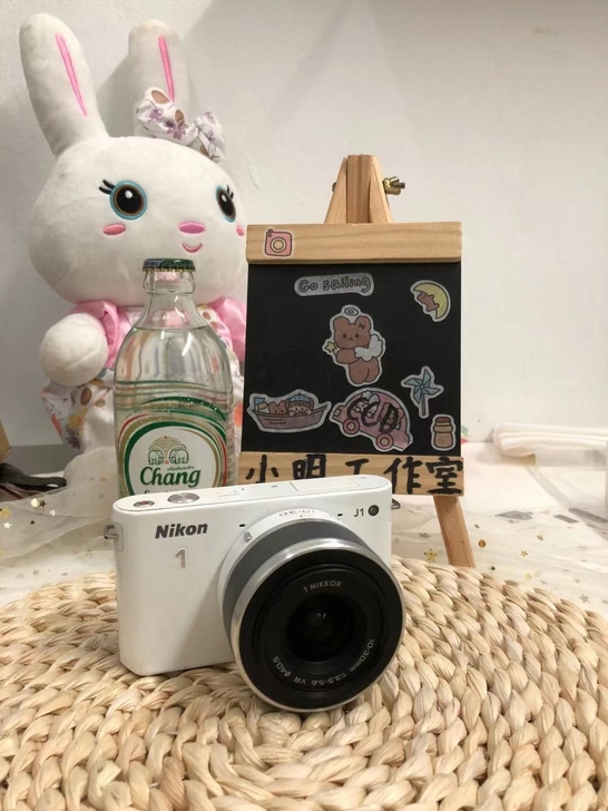 微单 尼康j1