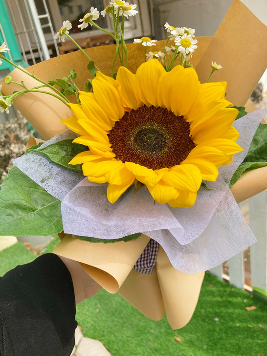 向日葵小花束15.9一束