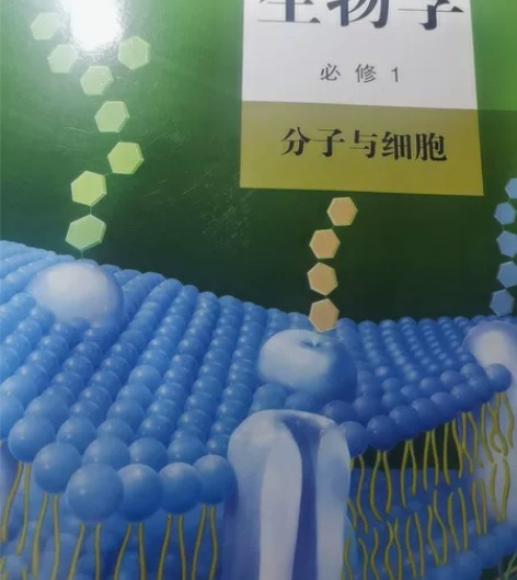 出全套高中生物新版教材 现在可以拍 感兴趣...