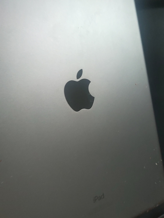 出台ipad 2019 128g 99新自...