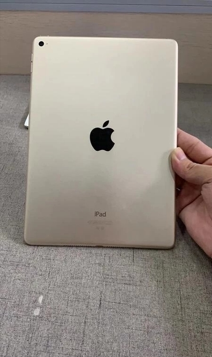 女生自用iPad mini4 128g  ...