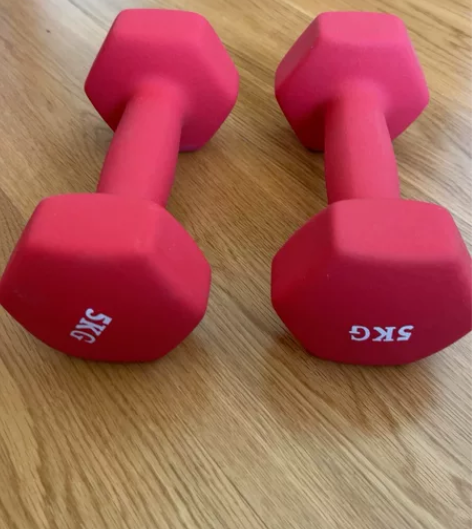 全新5kg哑铃一对 50块 限自提 南京奥...