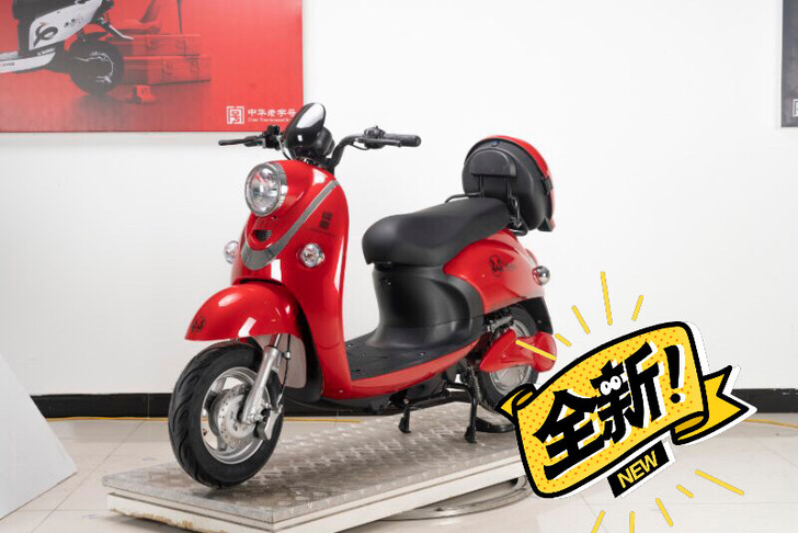 全新小龟电动车。工厂店直销，送货上门全车质...