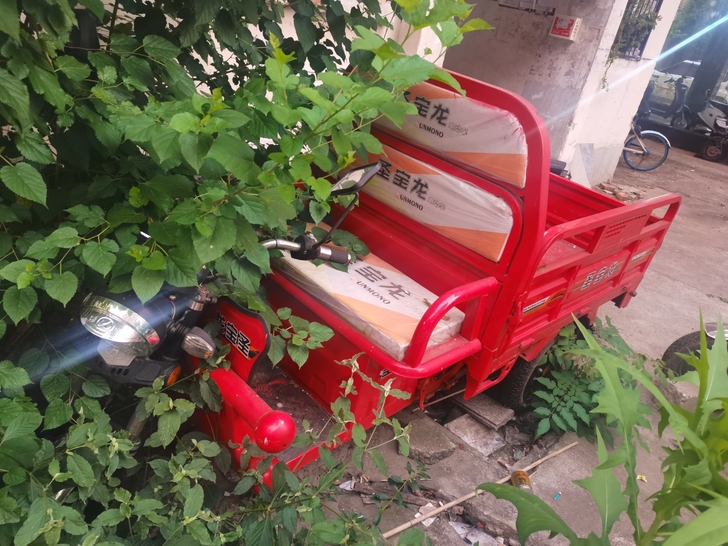 圣宝龙品牌三轮车，买的全新打算做麻辣烫但是...