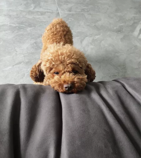 民心佳园小学附近 阅读，写字，数学，英语全...