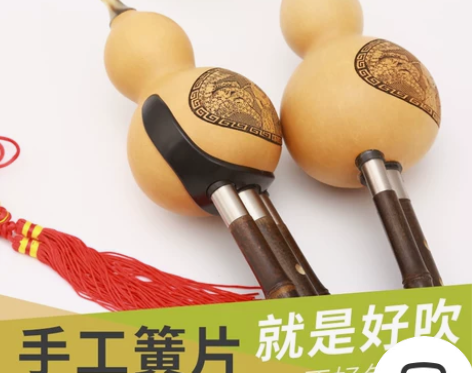 葫芦丝 葫芦丝初学 C调 降B调 F调 演...