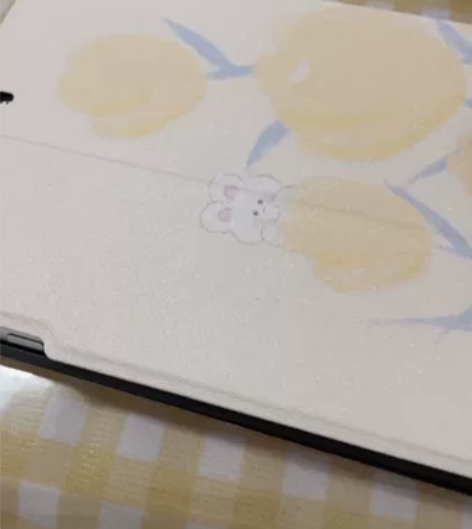 个人闲置ipad mini2随缘出原装充电...