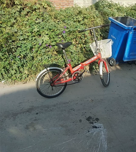 中国台湾宏邦20折叠自行车，折叠功能正常，...