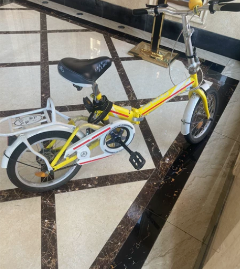正品永久减震折叠自行车！9新！铝合金轮圈！...