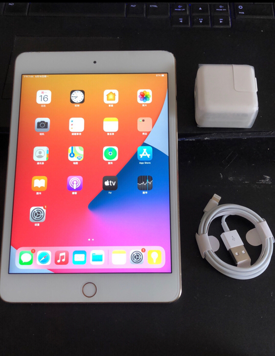 iPad mini4 128g  9成新 ...