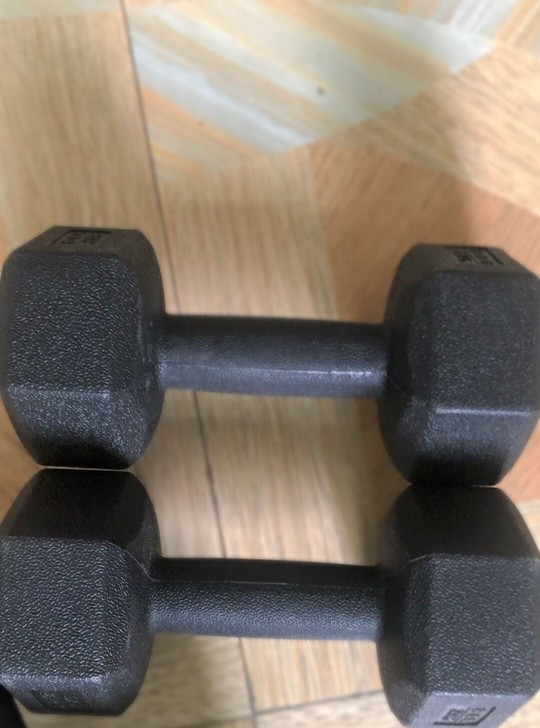 公司团建剩的哑铃，留着没用带不走，一个10...