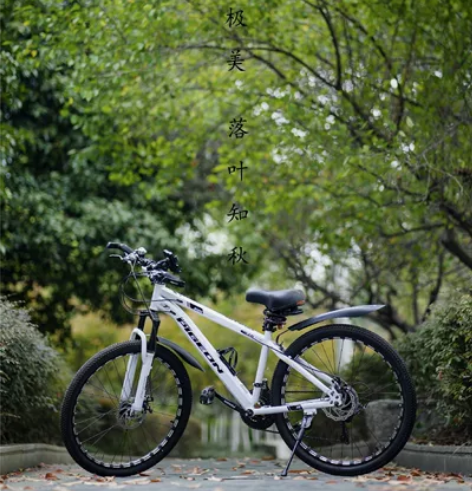 飞鸽山地车，21速，只骑了不到两个月，电动...