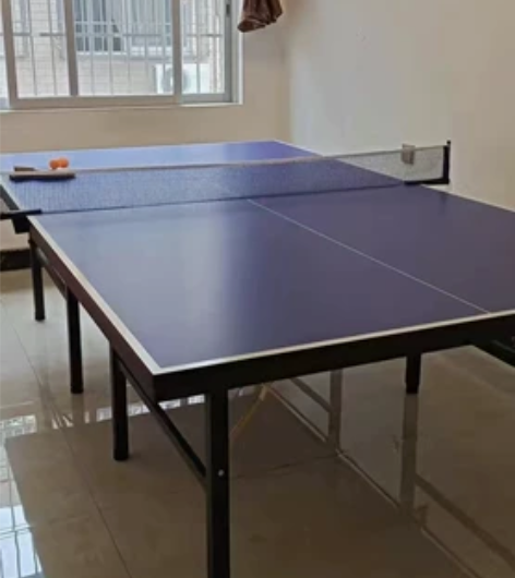 球馆多出的品牌乒乓球台桌，国际标准尺寸，没...