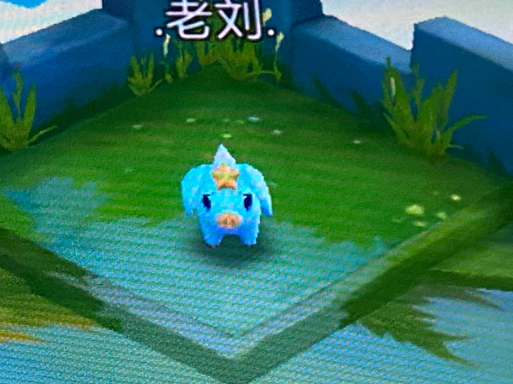 收一部尼康或者奥林巴斯的ccd 200块钱...