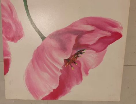 自用无框画3副一组，现闲置50元处理，除了...