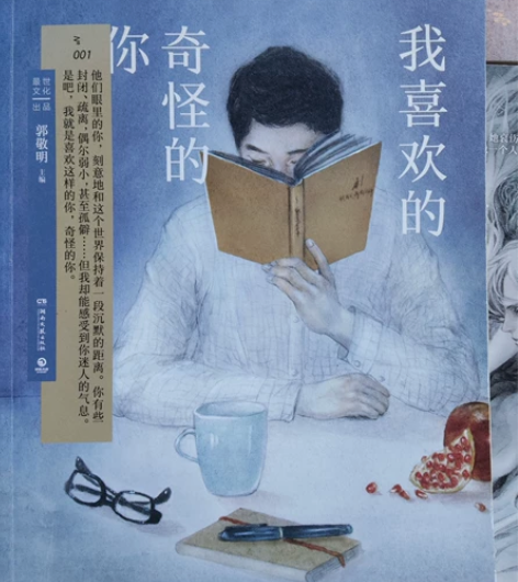 郭敬明ZUI MOOK全套 《我喜欢的奇怪...