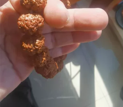 古龙铁籽蜂王大金刚，平头凹底，矮桩五爪梅花...