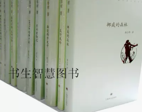 书籍挪威森林村上春树文集精装版10册 的森林