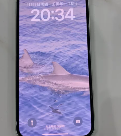 iPhone 12 国行绿色 256g 更...