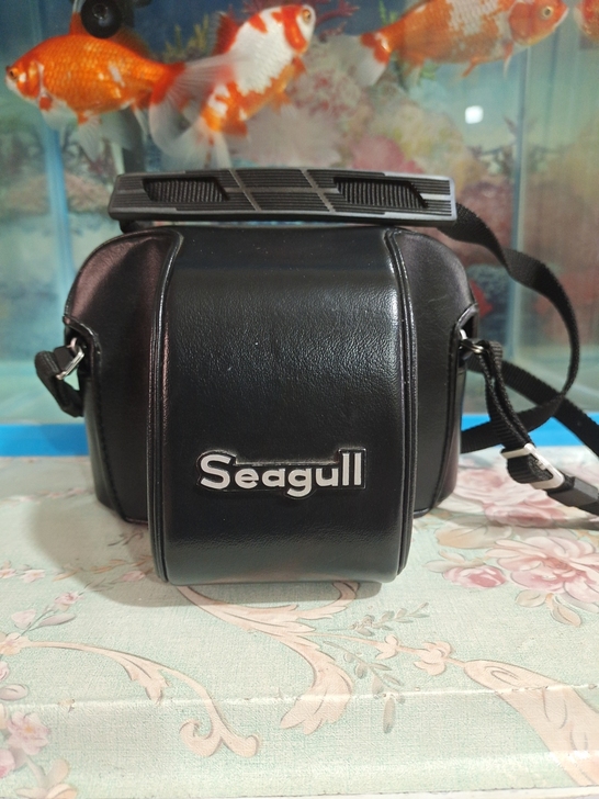 海鸥DF2照相机，功能可以使用，品相如图所...