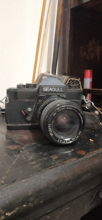 海鸥照相机,长期没使用灰尘大,没清理。好坏...