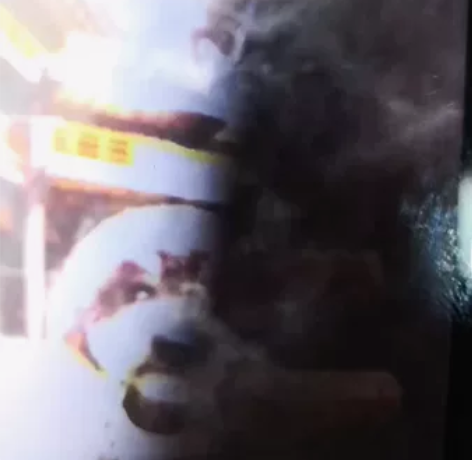 海信A2手机4+64G双屏幕 带水墨屏36...