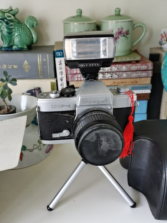海鸥相机，闪光灯全部包邮228