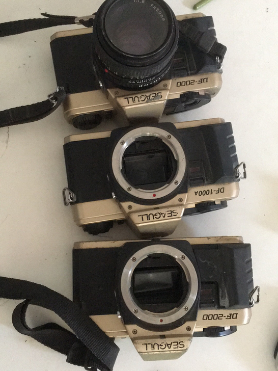 海鸥seagull 单反鸟标,国产胶片。。...