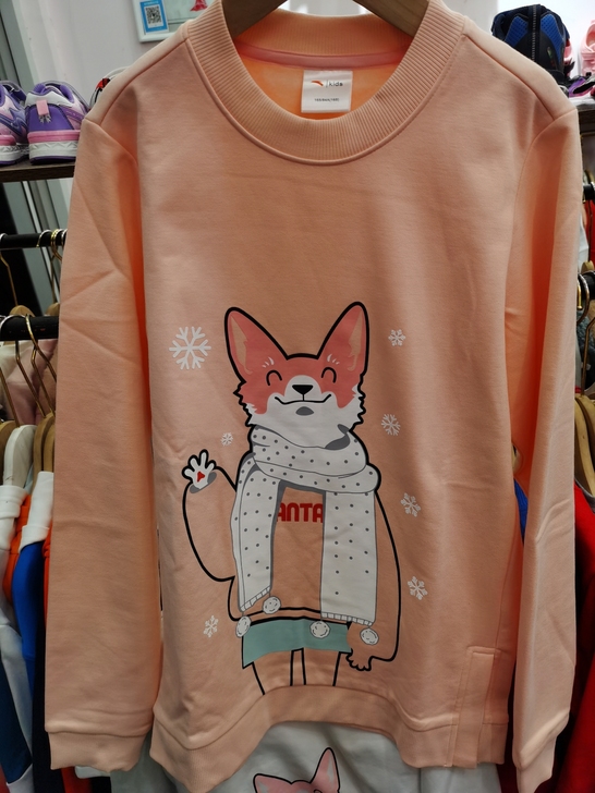 安踏儿童童装专柜撤柜秋冬加绒款运动卫衣质感...