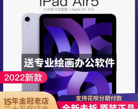 Apple/苹果 10.9 英寸 iPa