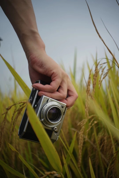 爱克发36 agfa36配件机身