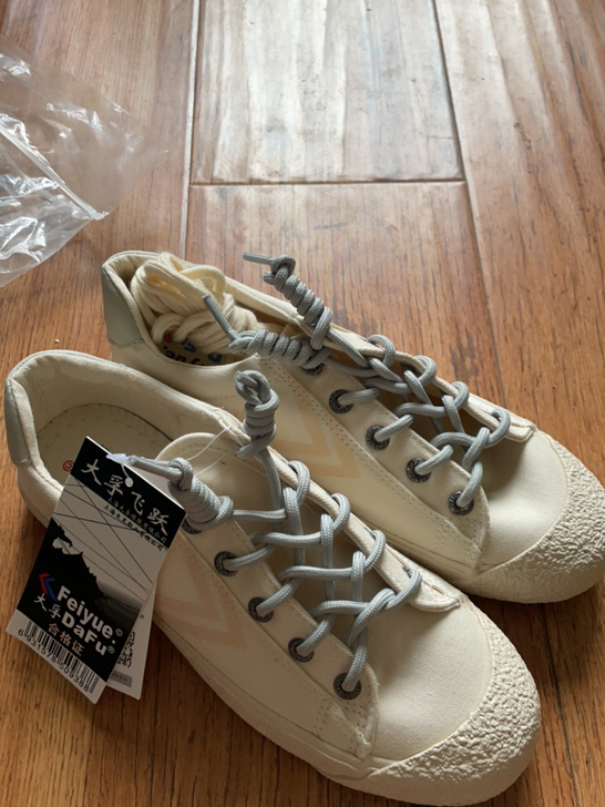 飞跃休闲鞋 全新36码 另外还送两幅鞋带