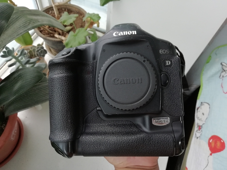 佳能 1D mark2n 好相机！