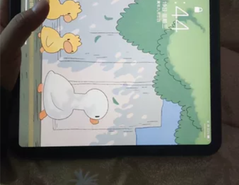 Apple/苹果 iPad Pro 11英...