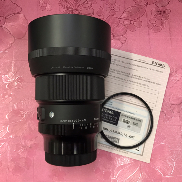 适马 14-24 F2.8DG DN 松下...