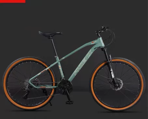 凤凰自行车24寸24速 感兴趣的话点“我想...