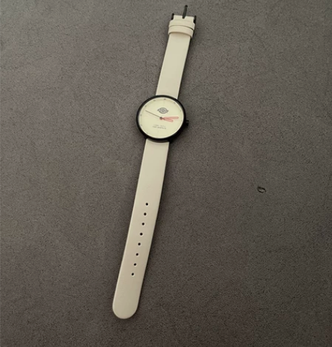 Dickies 手表，别人送的，便宜出了，...