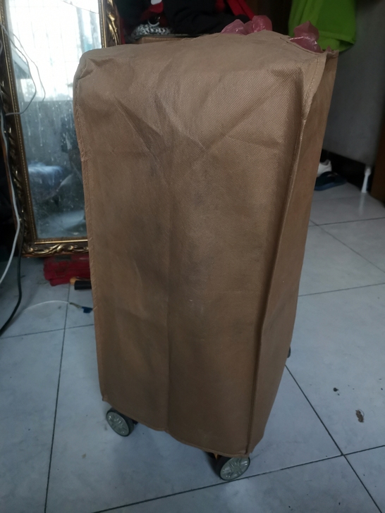 京嵘保罗行李箱，好像是24的，买来出过一次...