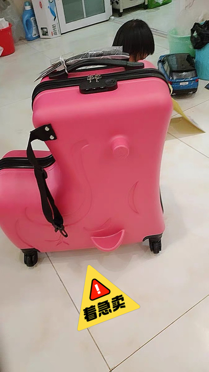 儿童骑行拉杆箱,旅行箱,八成新原价229入...