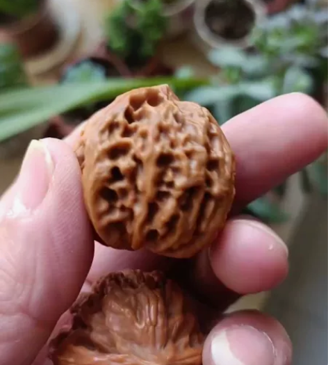 纯野生文玩核桃，野生核桃，文玩核桃，尺寸，...