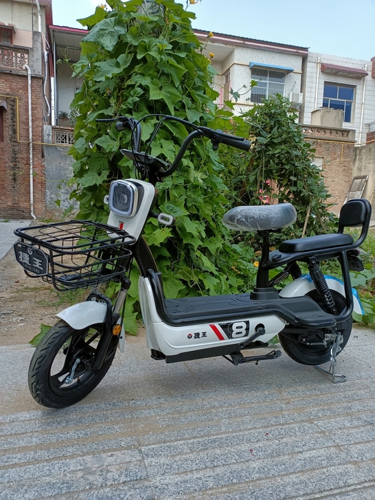 电动车，汇能电动车，捷王，正利来！艾米款/...