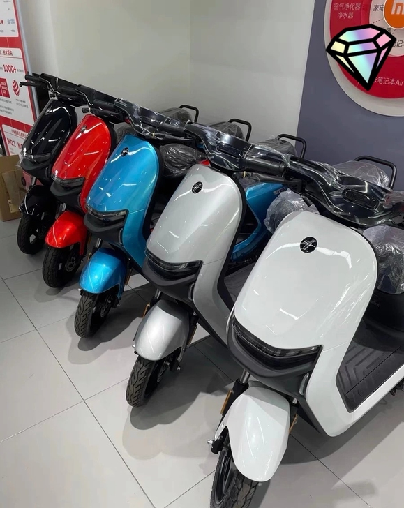 电动车，小米电动车，九号电动车，小米九号，...