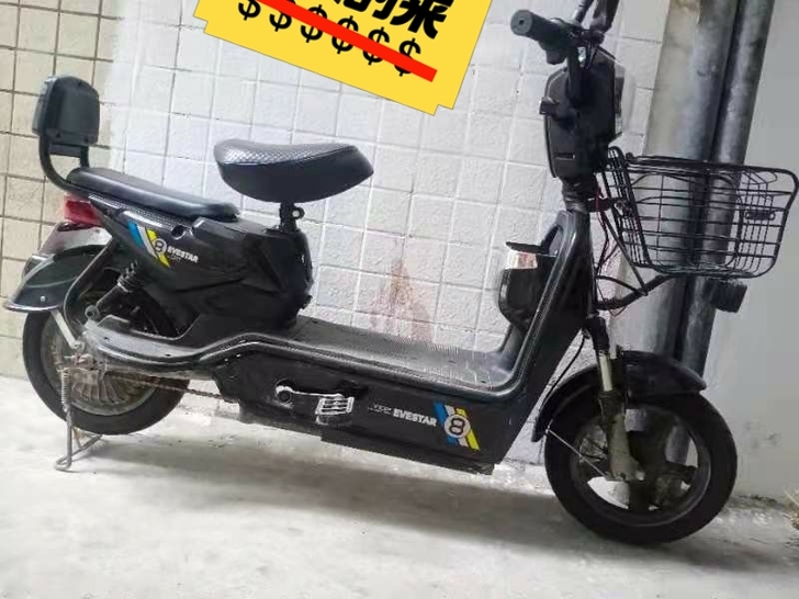 典航电动车，去年实体店买的，因为要出远门，...