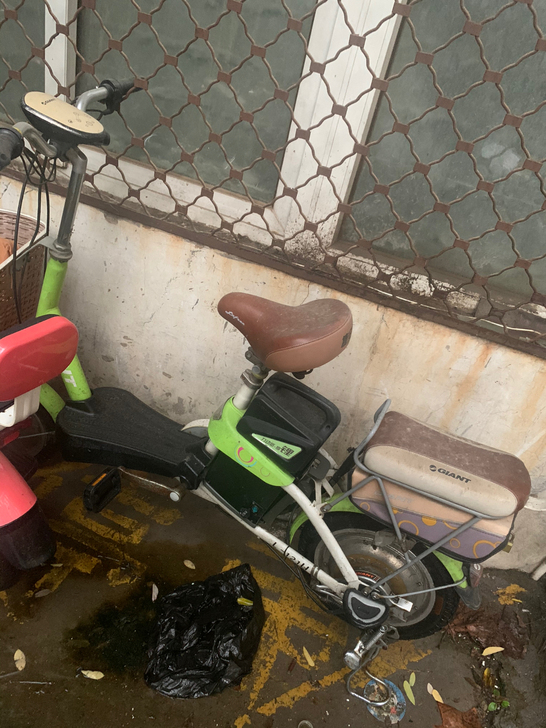 捷安特电动450,自行车80,卖不出去买新...
