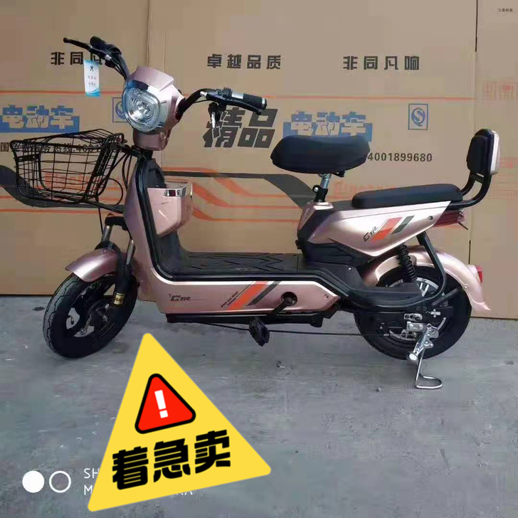 全新电动自行车2021年新款成人版48V电...